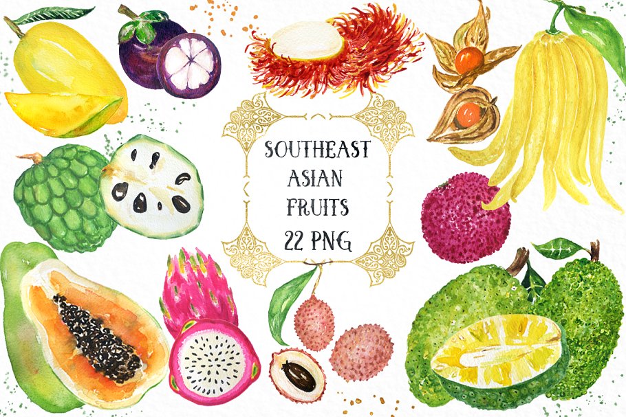 亚洲热带水果水彩剪切画 Tropical Asian fruits watercolor插图