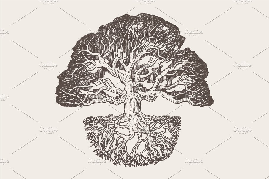老橡树素描矢量插画 Illustration of an old oak tree插图(3)