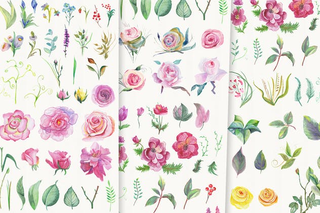 高品质花卉水彩DIY剪贴画合集 Watercolor DIY Pack插图(1)