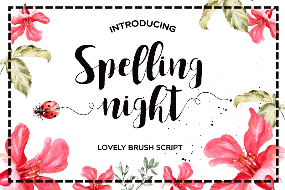 可爱优雅风格英文手写字体 Spelling Night Script Font插图