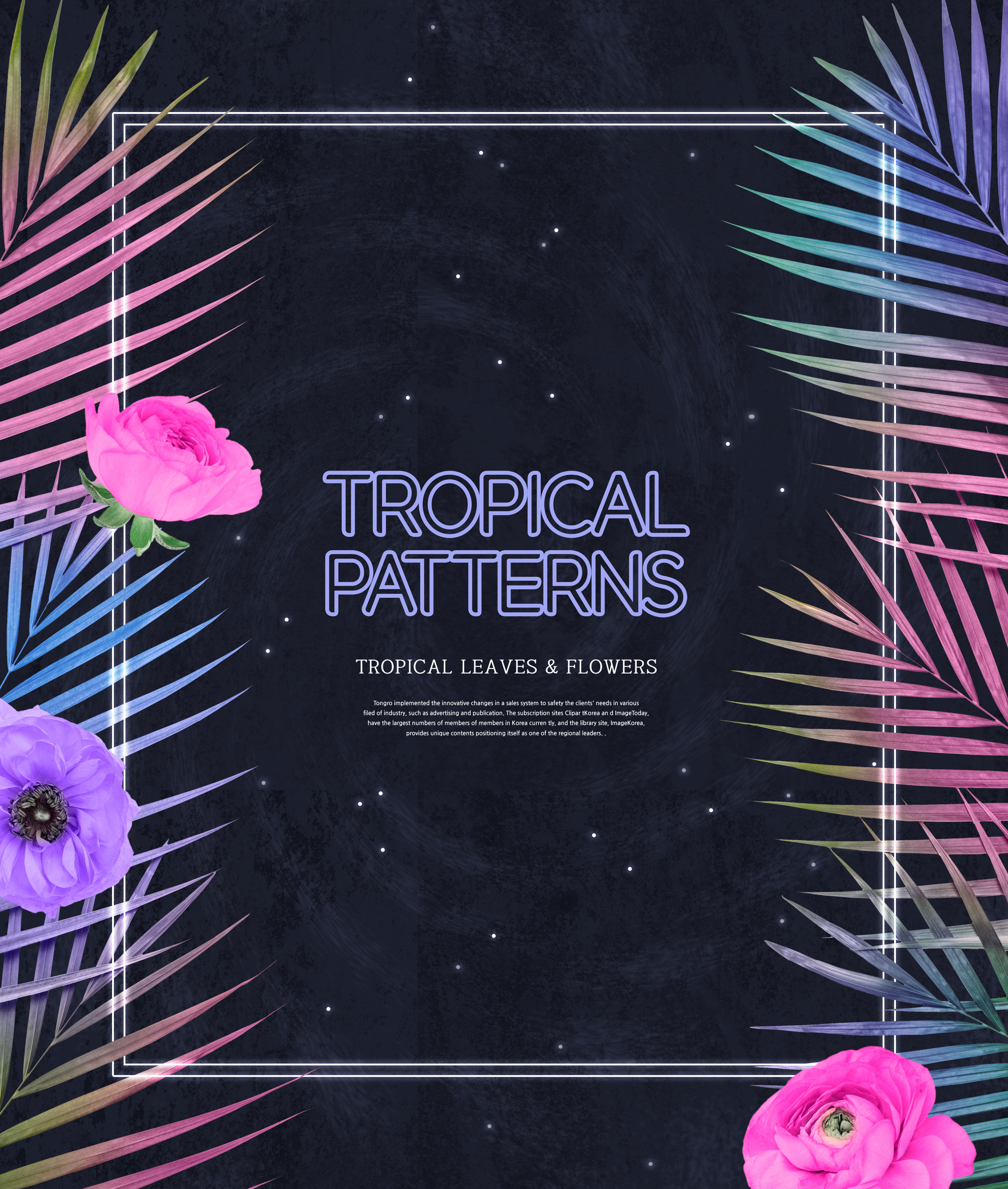 热带植物叶子&花卉图案海报设计素材插图(1)