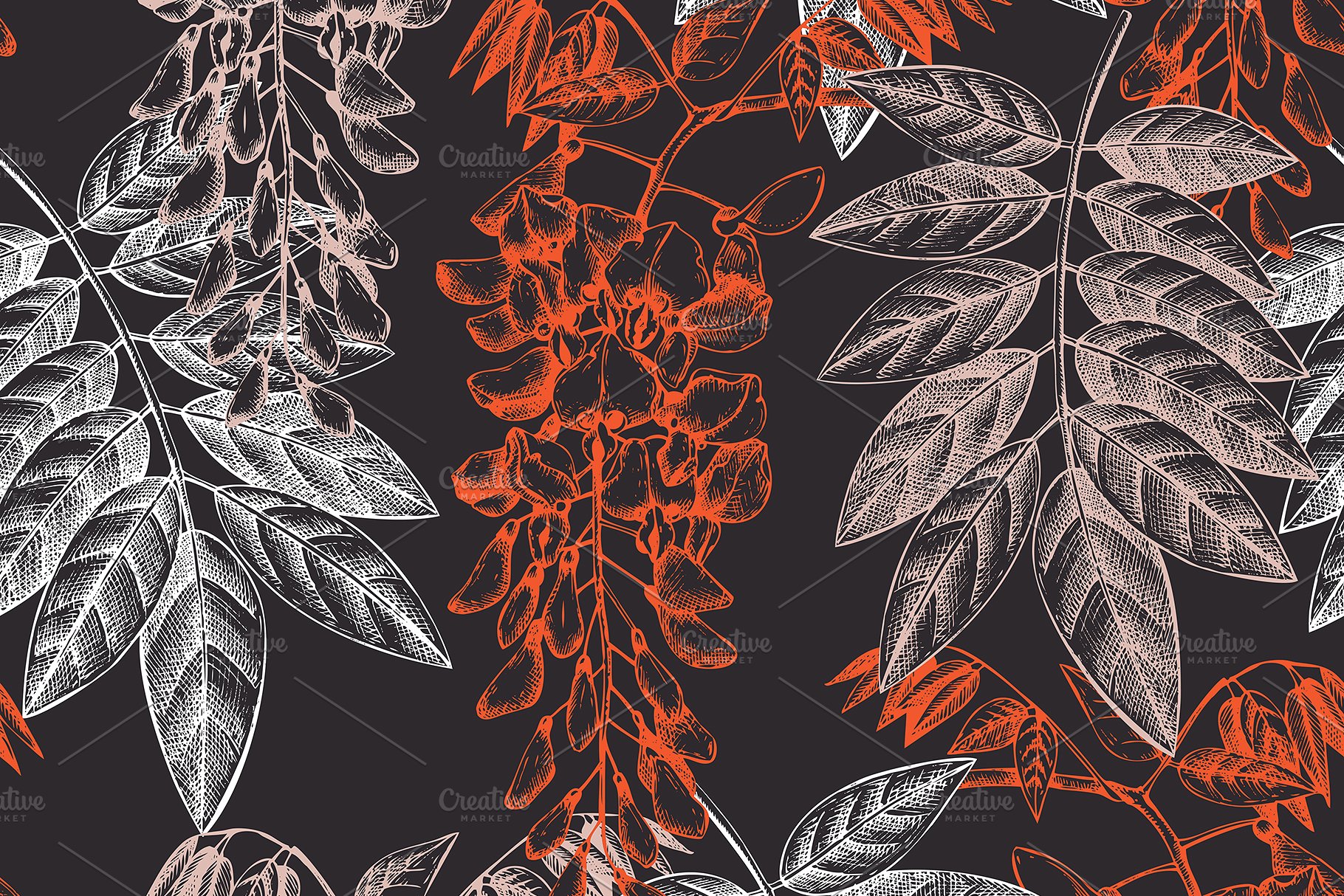 豆科植物和灌木手绘素描插画素材 Legumes Trees in Flowers Set插图(10)