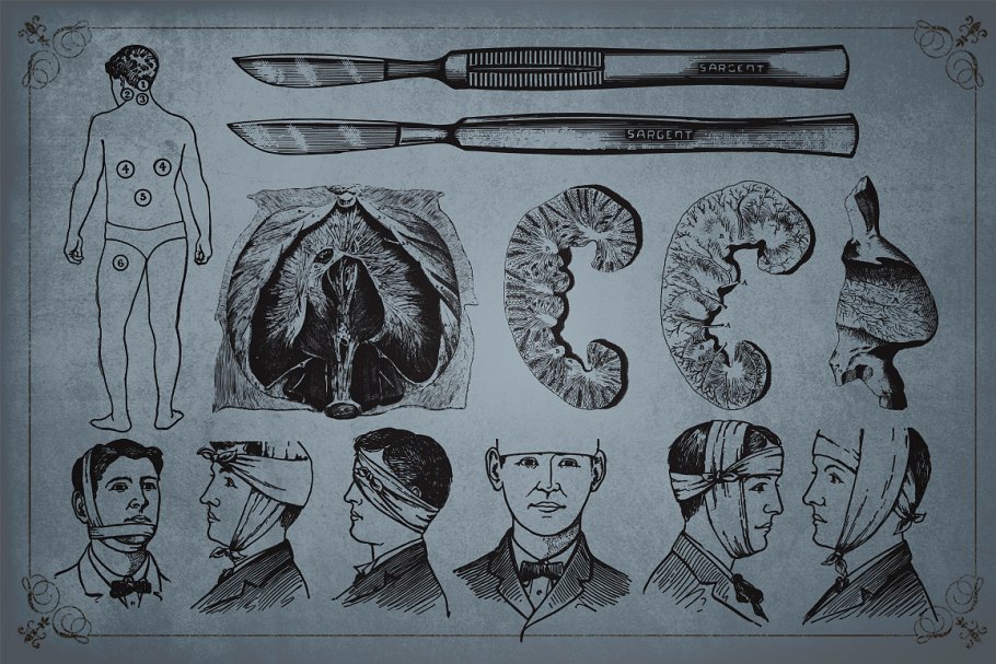 旧时代解剖医学插图素材 Medical Art | 110 EPS, PNG and JPG’s插图(9)