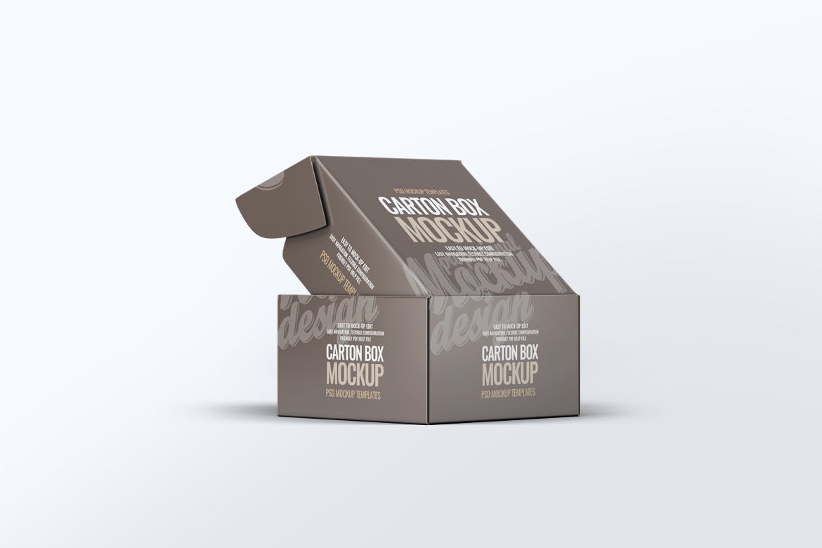 硬盒纸箱包装外观设计样机v1 Carton Box Mock-Up v.1插图(5)