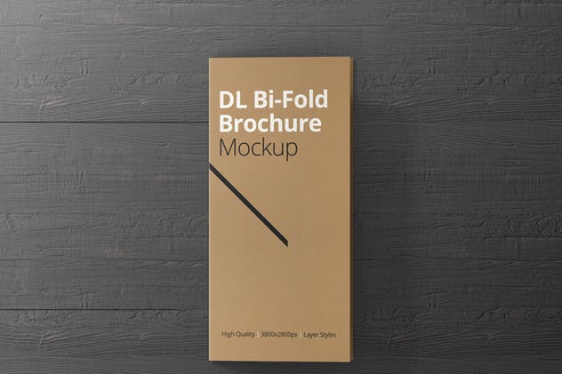 对折折页宣传小册样机 DL Bi-Fold Brochure Mock-Up插图(4)
