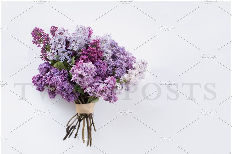 春天丁香花场景样机 Spring Lilac Stock Photos插图(8)