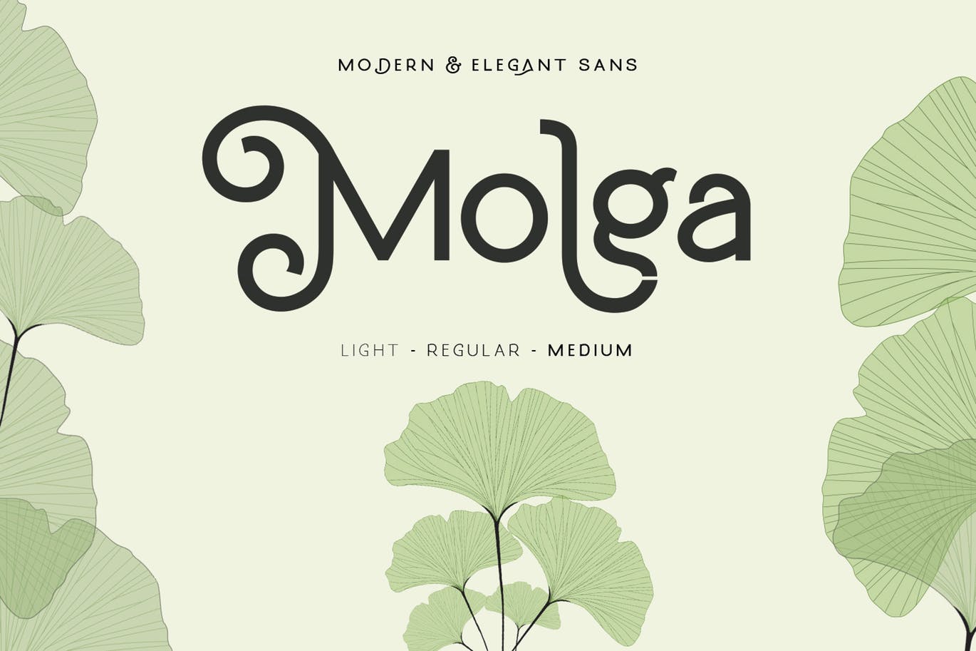 非常好看的一款现代曲线美体英文无衬线设计字体 Molga font插图