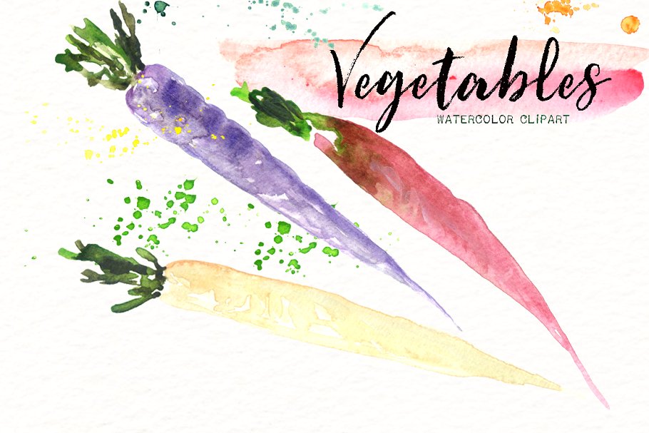 素材素食水彩剪贴画 Vegetables. Vegan Watercolor clipart插图(9)