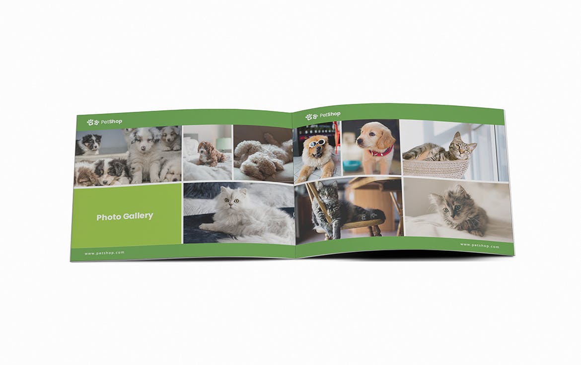 宠物店/宠物医院A5宣传册设计模板 Pet Shop A5 Brochure Template插图(10)