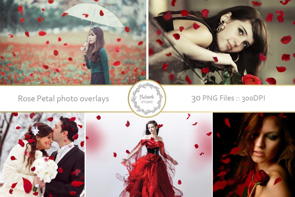 30个创意照片玫瑰花瓣叠加层素材下载[png]插图