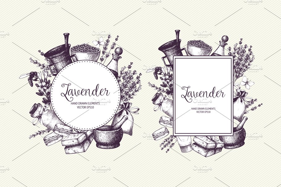 复古墨水手绘薰衣草矢量插图 Vector Lavender Designs Set插图(2)