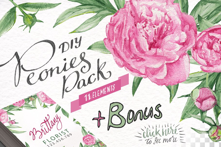 水彩牡丹花花卉插画设计素材 Watercolor Peonies DIY Pack +bonus插图