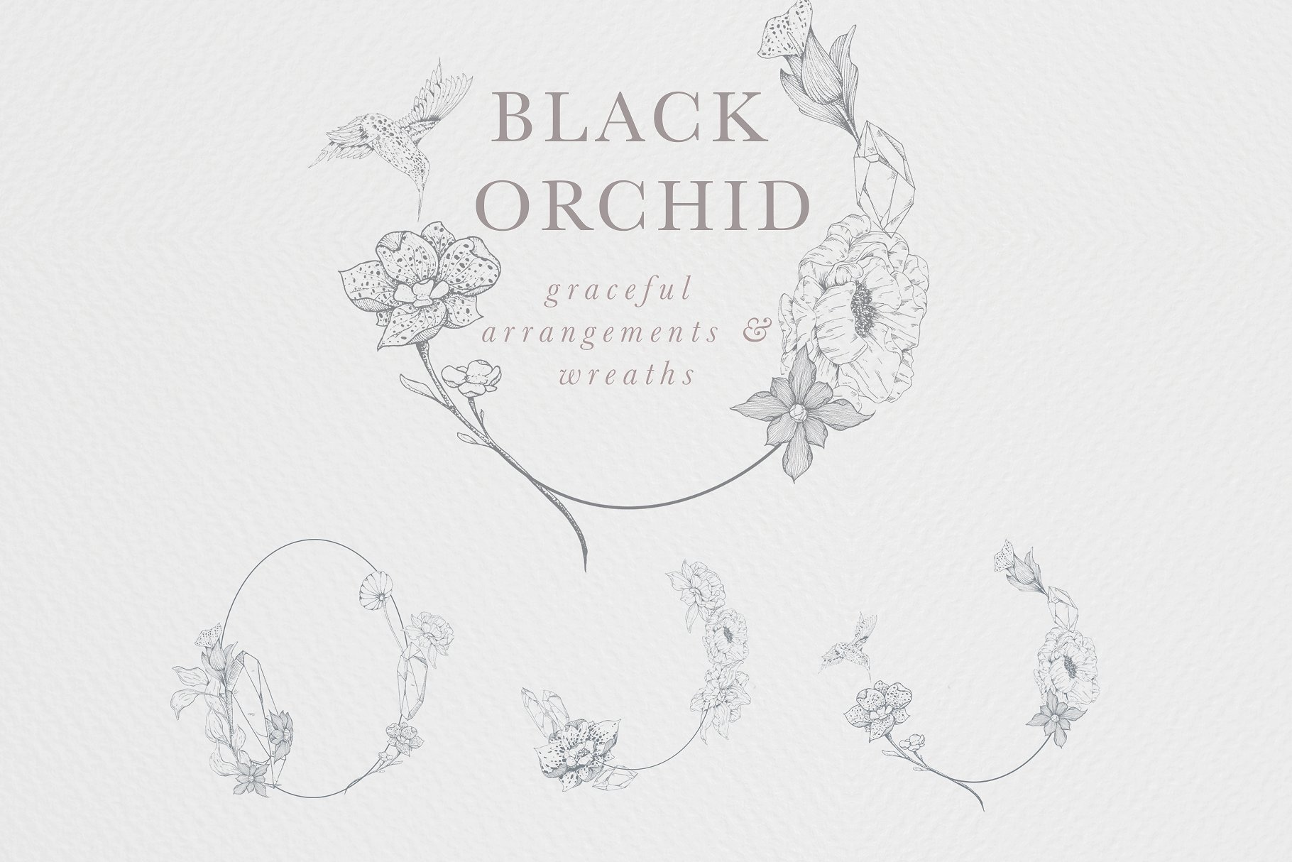 虚实结合黑色背景手绘矢量花卉图形素材 Black Orchid Illustration Set插图(5)