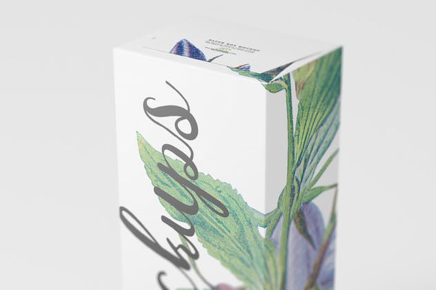 纸盒包装外观设计样机模板14 Paper Box Mockup 14插图(6)
