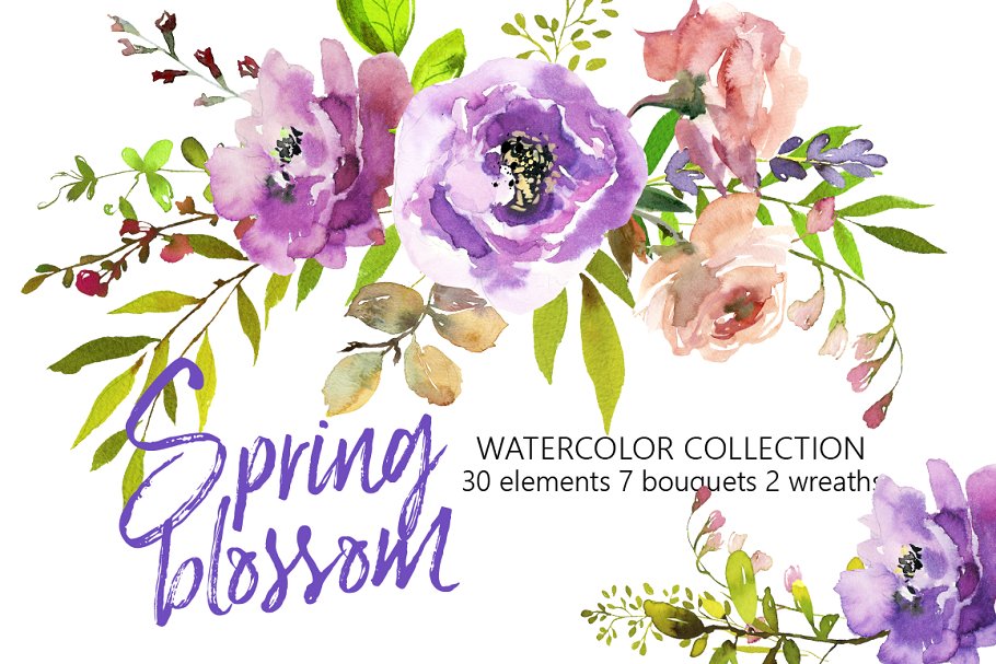 春季花开水彩花卉插画 Spring Blossom Watercolor Flowers插图