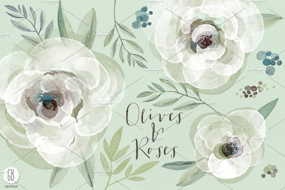 水彩白玫瑰和橄榄枝矢量图形 Watercolor white roses and olive插图
