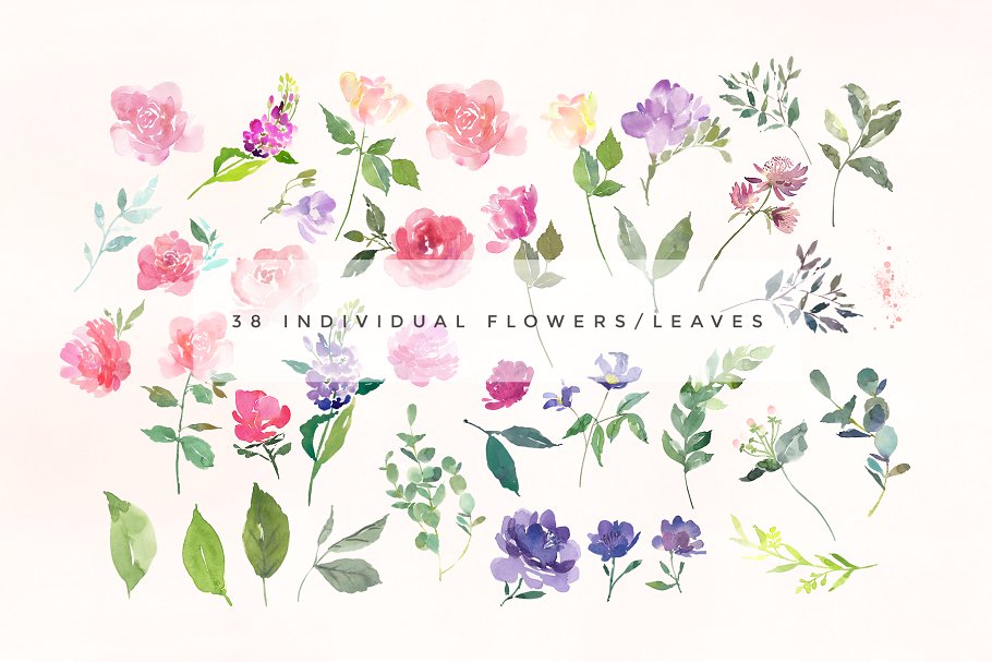 埃洛伊斯水彩花卉剪辑集 Elouise – Flower Clipart Set插图(4)