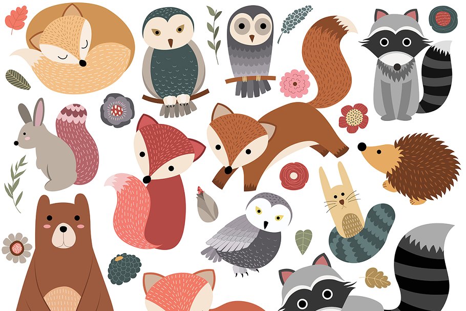 110个林地动物手绘动物插画剪贴画 110 pc Huge Woodland Clipart Set插图(4)