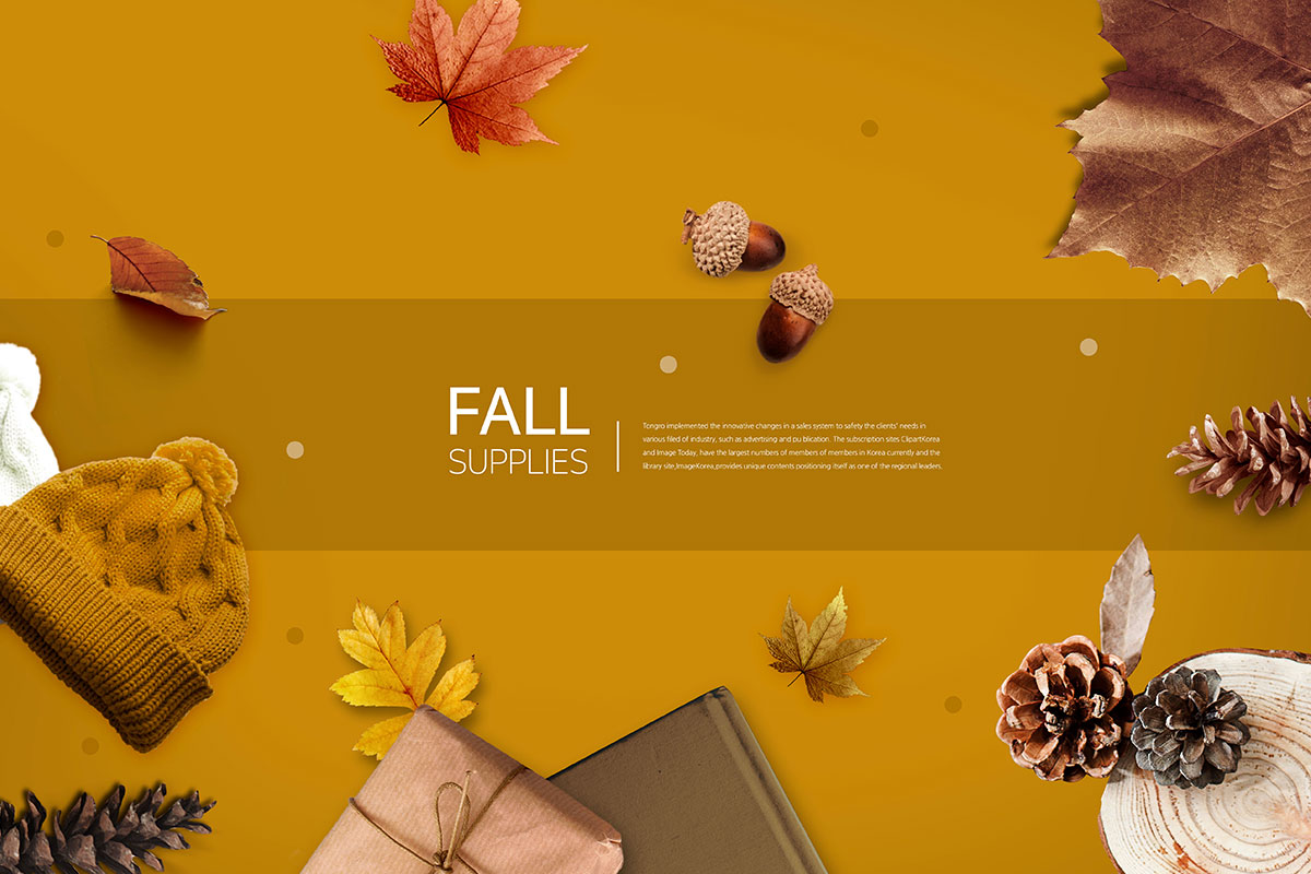 秋季用品秋天主题海报设计模板插图