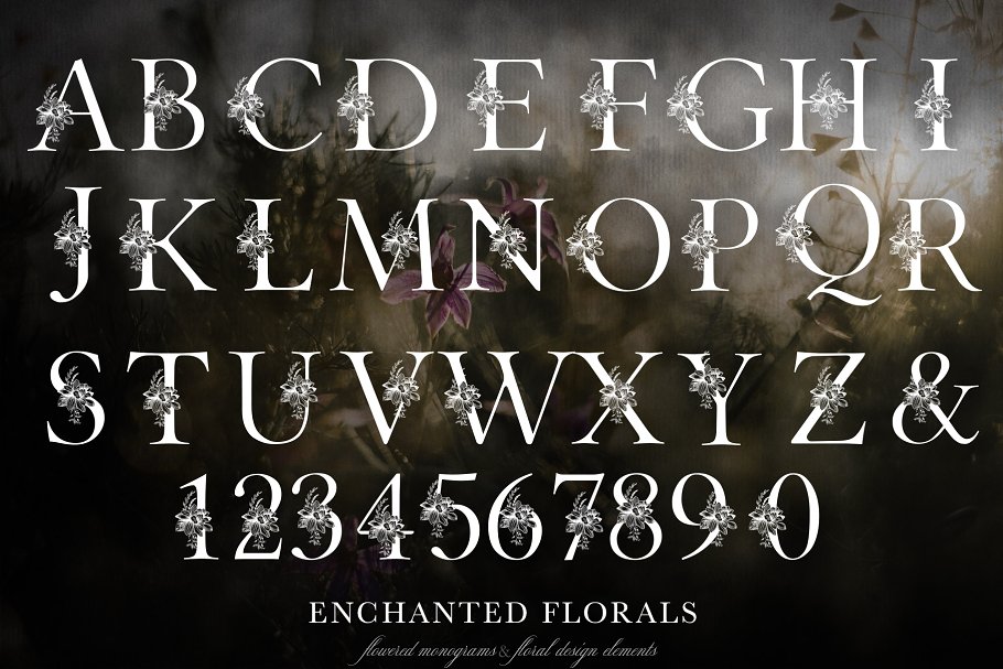 魔法花卉装饰字母创意字母集 Enchanted Florals Monogram Set插图(4)