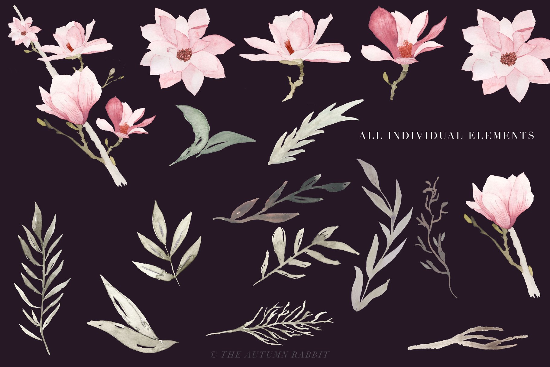 水彩玉兰花剪切画素材 Watercolor Magnolia Floral Clipart插图(3)