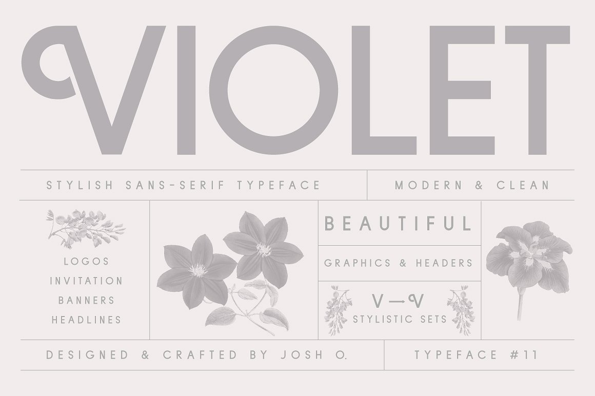 现代优雅品牌设计英文无衬线字体 Violet Font插图