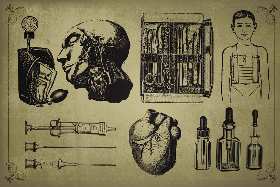 旧时代解剖医学插图素材 Medical Art | 110 EPS, PNG and JPG’s插图(6)