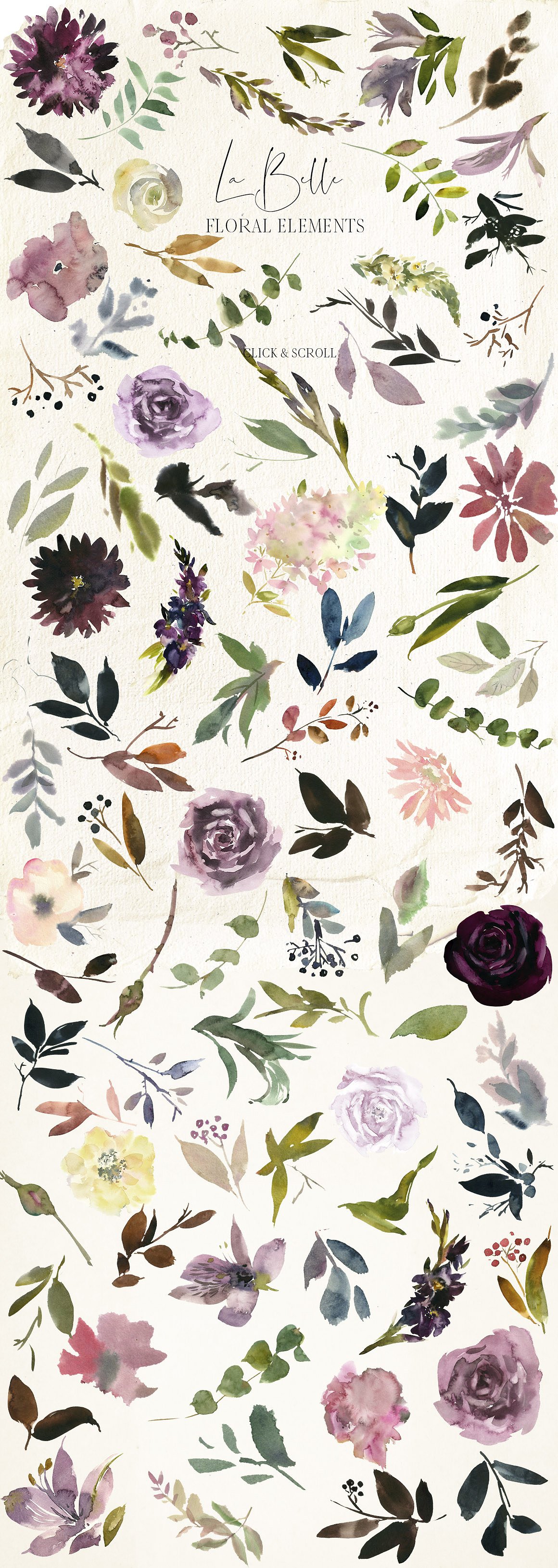 魅力水彩花卉剪贴画 La Belle Watercolor Floral Clipart插图(6)