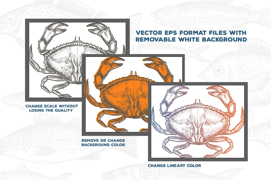 复古粗略风格的手绘海鲜插图合集 Seafood Illustrations插图(3)