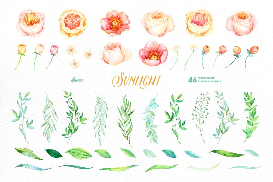 46款高质量手绘水彩花卉剪贴画 Sunlight. Floral Collection插图(1)