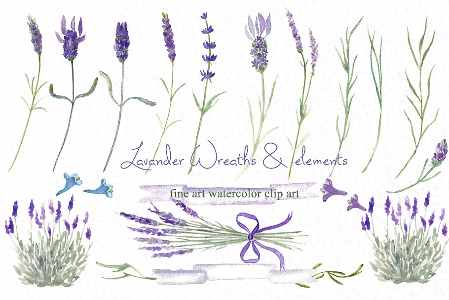 薰衣草水彩花卉设计素材 Lavender wreaths watercolor flowers插图