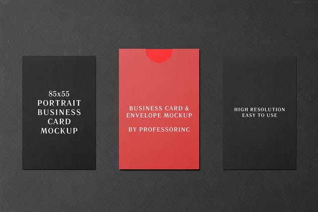 商业品牌卡片/贺卡样机模板 85×55 Portrait Business Card Mockup插图(3)