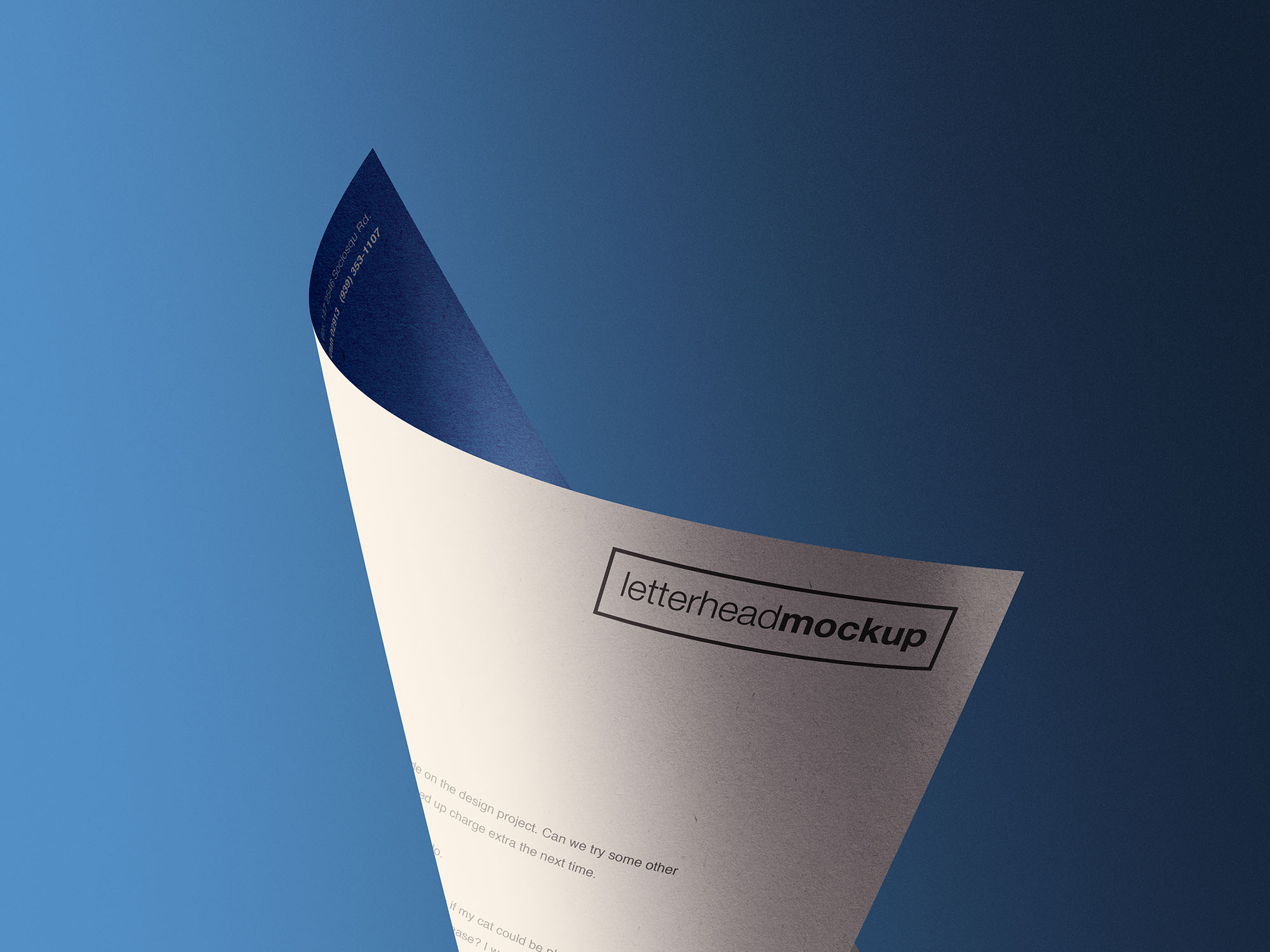 卷曲状态A4企业信纸设计效果样机模板 Curled A4 Letterhead Paper Mockup插图