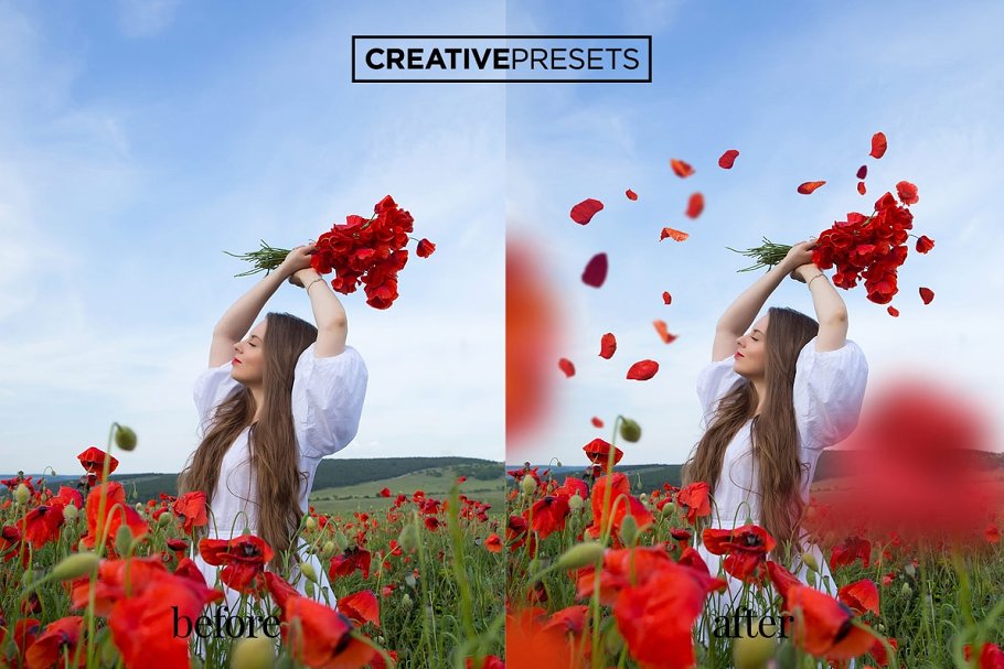 浪漫野生罂粟叶照片处理叠层 Wild Poppies Photo Overlays插图(3)