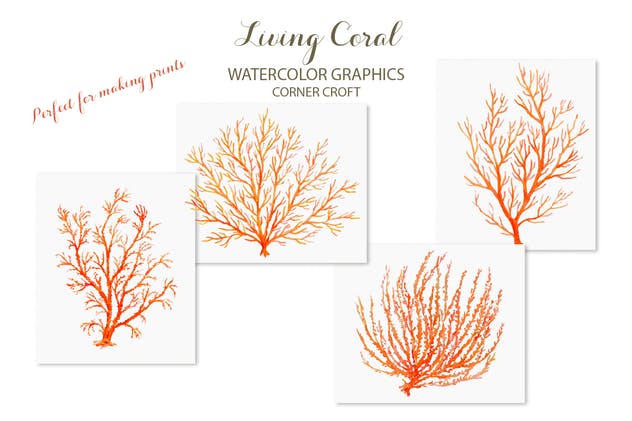 海洋生物水彩插画素材 Watercolor clipart living Coral插图(7)