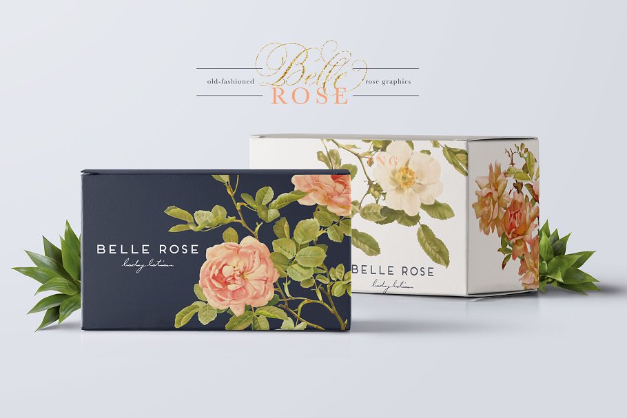 旧时尚老派水彩玫瑰花卉剪贴画合集 Belle Rose Antique Graphics Bundle插图(8)