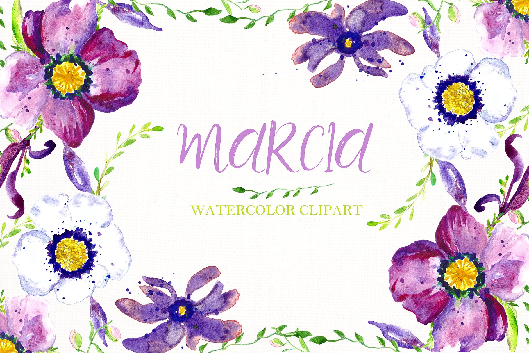 紫色手绘水彩海葵花卉剪贴画 Watercolor clipart Anemone flowers.插图(3)
