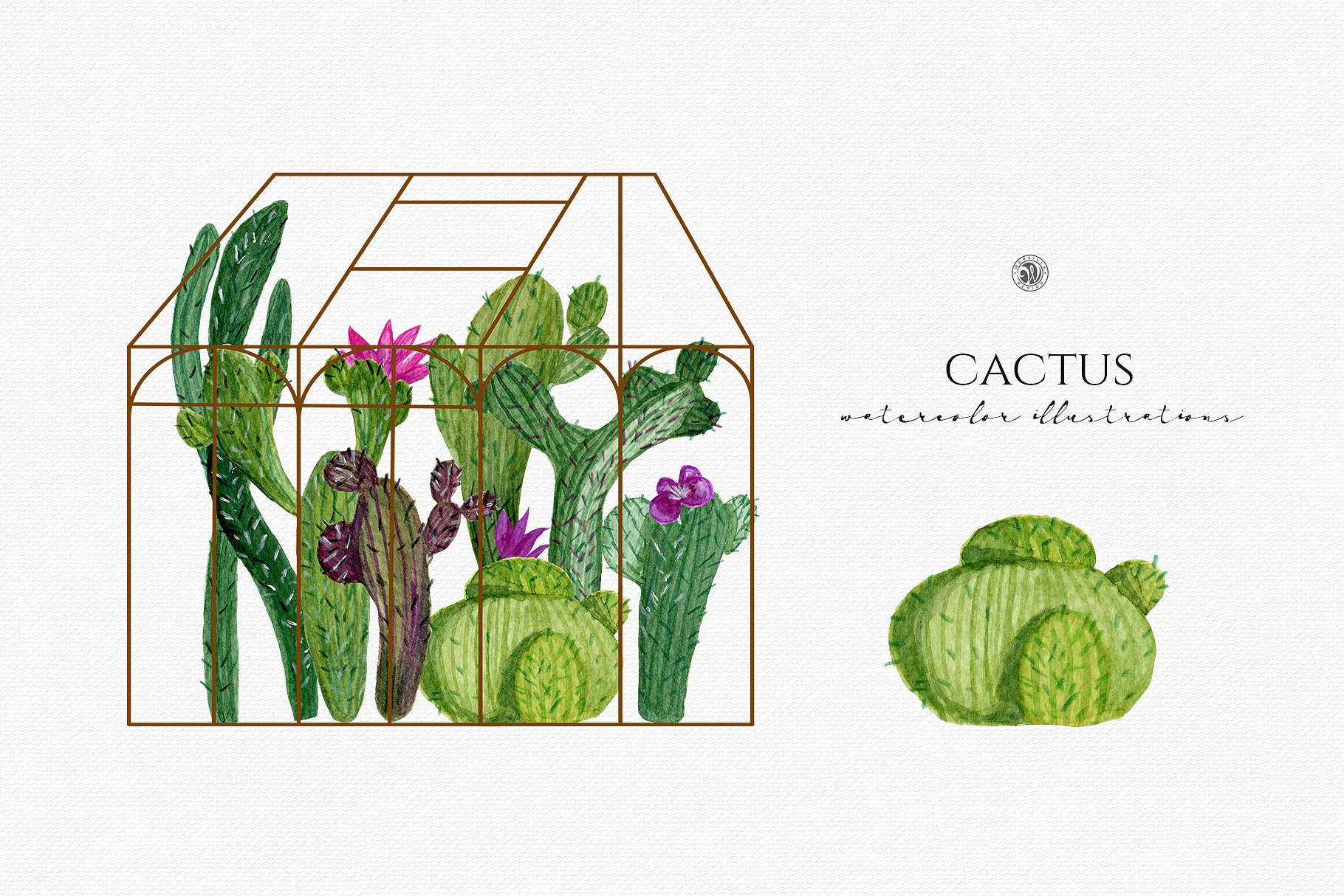 水彩仙人掌插图合集 Cactus watercolor illustrations插图(1)