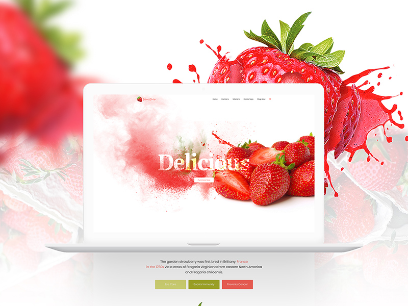 草莓主题网页模版 Product Landing Template – Strawberry插图