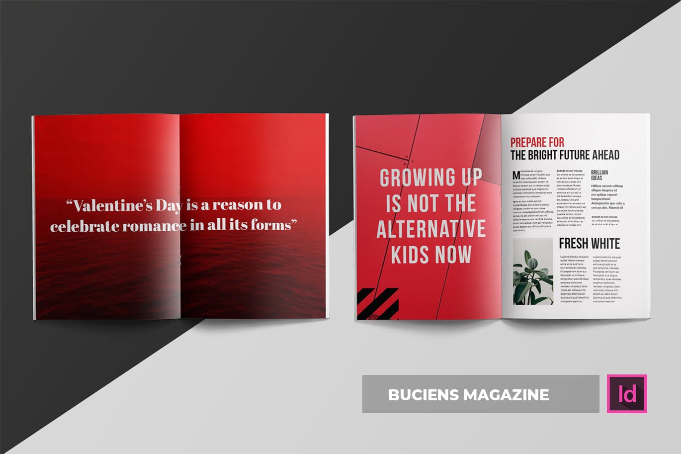 标准多用途杂志排版设计模板 Buciens | Magazine Template插图(2)