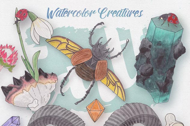 生物系列水彩手绘插画合集Vol.1 Watercolor Creatures vol. 1插图(3)