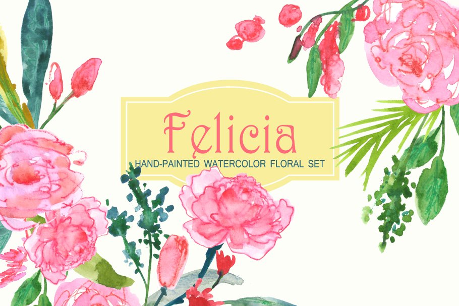 费利西亚艺术水彩花卉剪贴画 Felicia – Watercolor Clip Art插图