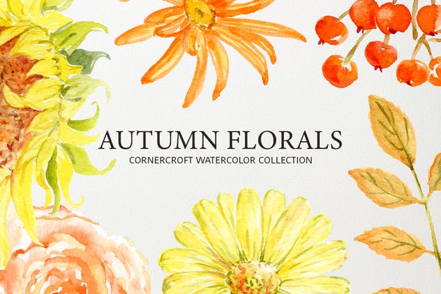 秋天花卉水彩绘画艺术设计素材 Watercolor Autumn Florals Collection插图(6)
