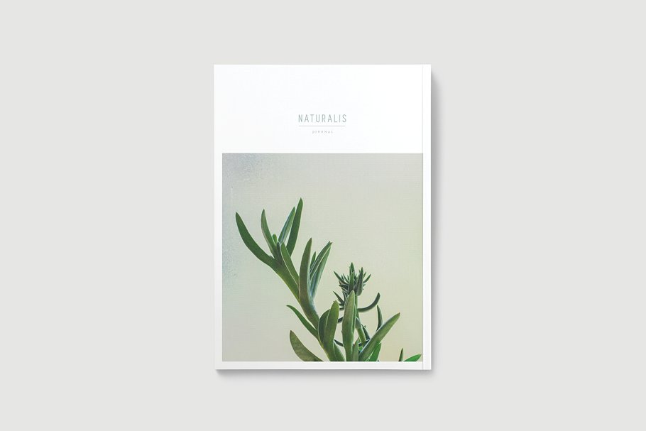 盆栽植物主题杂志模板 NATURALIS Lookbook / Magazine插图(4)