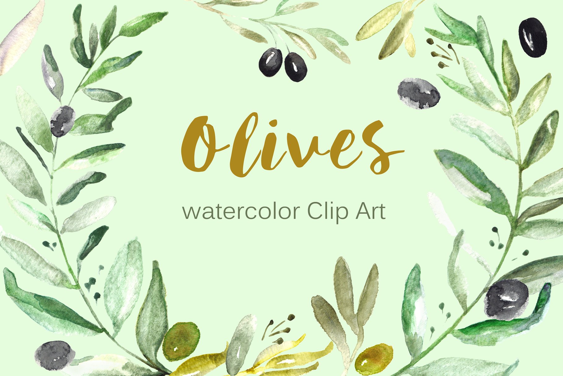 橄榄枝水彩剪贴画 Olives. Watercolor illustrations插图(3)