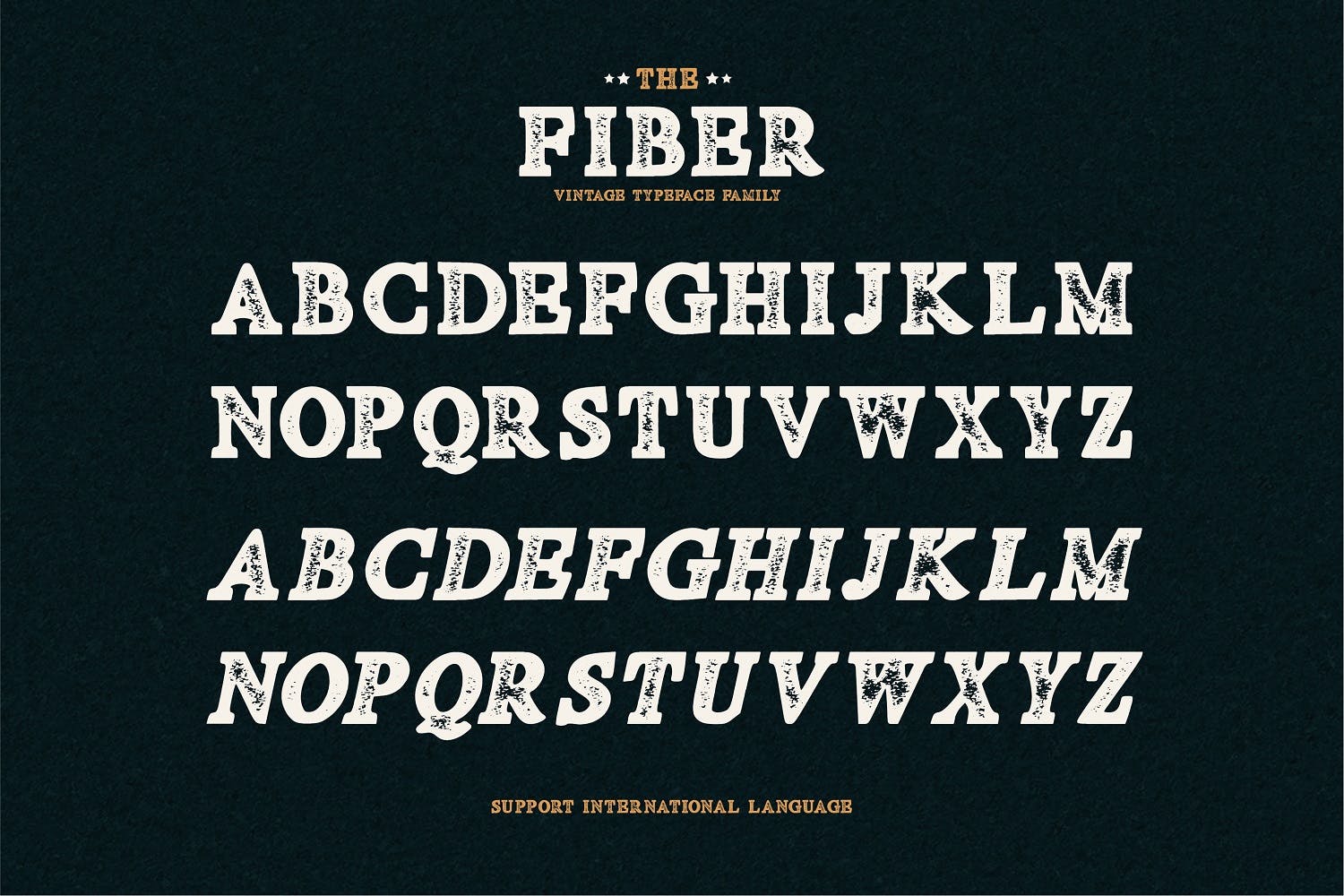 复古装饰风格英文无衬线设计字体下载 Fiber – Vintage Serif Font插图(4)