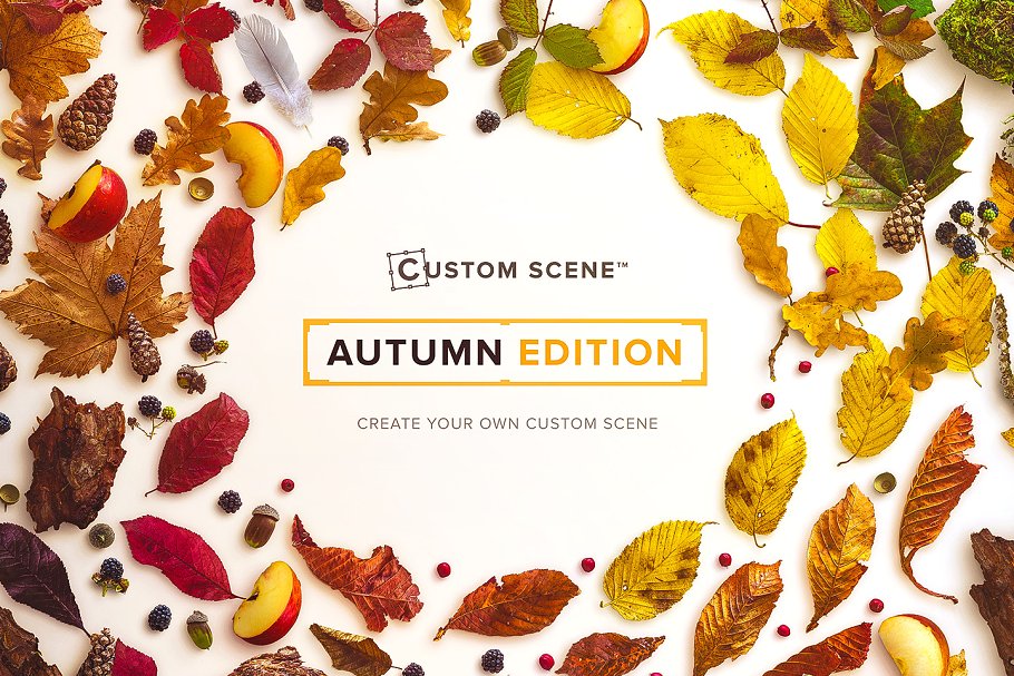 秋天主题场景样机设计素材包[2.39GB] Autumn Edition – Custom Scene插图