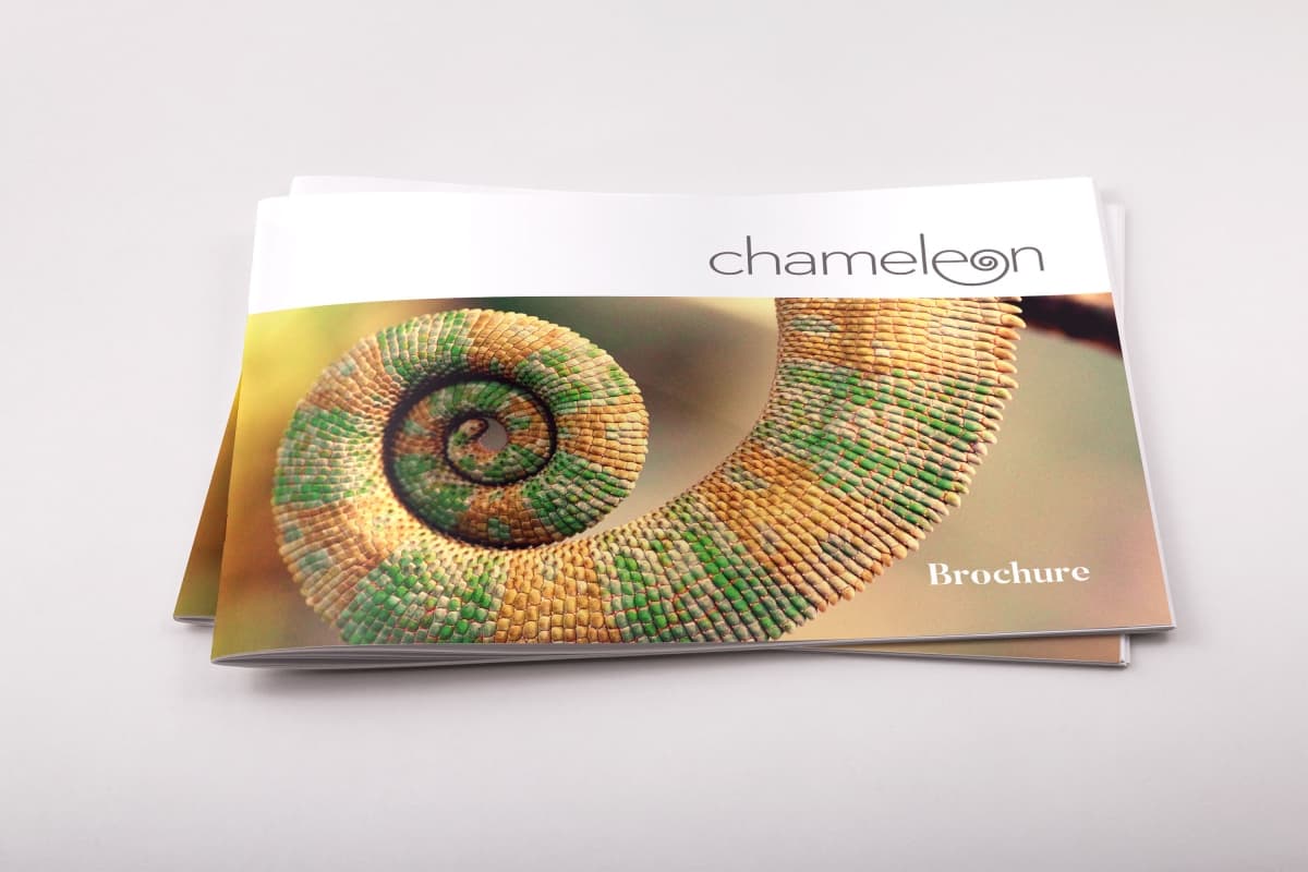 宣传小册子排版设计模板 Chameleon Free InDesign Brochure Template插图(4)