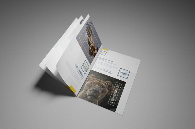 A4/A5宣传册目录产品手册样机 A4/A5 Brochure-Booklet Mockups插图(6)