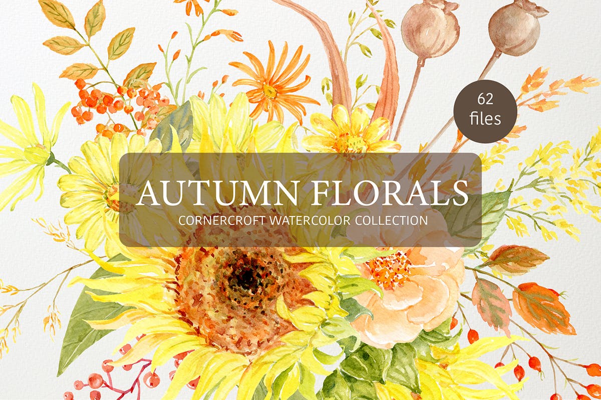 秋天花卉水彩绘画艺术设计素材 Watercolor Autumn Florals Collection插图